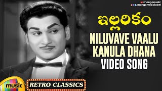 Niluvave Vaalu Kanula Daana Video Song  Illarikam Movie  ANR  Jamuna  Old Telugu Hit Songs [upl. by Ailefo]