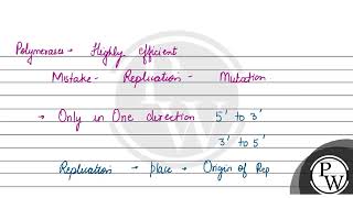 Explain the mechanism of DNA replication with the help of a replication fork What role does the [upl. by Irahcaz175]