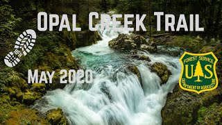 Opal Creek Trail  Willamette National Forest Lyons OR  May 2020 [upl. by Stephine315]