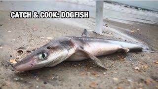 Lets Try SPINY DOGFISH SHARK  Fish amp Chips Catch Clean amp Cook Not Megladon [upl. by Ainehs495]