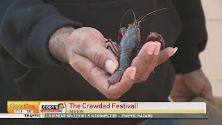 Codys Caravan The Crawdad Festival 7am [upl. by Shutz]