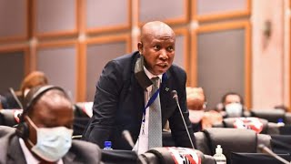 Julius Malema  Chaos African Parliament Watch All the Drama [upl. by Kcirrek]