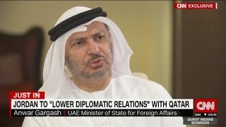 Top UAE diplomat on rift with Qatar [upl. by Drooff]