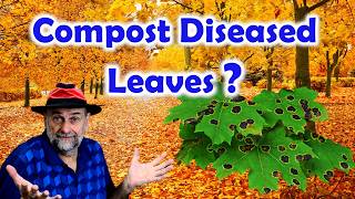 Should You Compost Diseased Leaves [upl. by Emawk796]