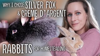 Why I chose SILVER FOX and CREME dARGENT Rabbits for Homesteading [upl. by Annoet]