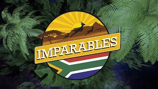 Imparables Wine2Whales 2019 [upl. by Elatan]