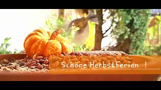 Schöne Herbstferien [upl. by Ramuk]