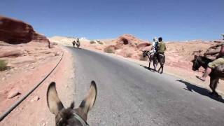 Mr Scruff  Donkey Ride Mini Video [upl. by Leonteen]