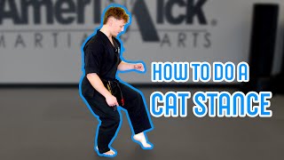 HOW TO DO A CAT STANCE  TECH TUESDAYS [upl. by Adnilev218]