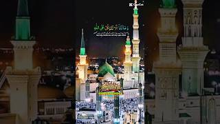 islamice short video viral allah islamicstatus makkah youtubeshorts [upl. by Cristabel]