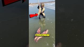 This boy found frozen fish in the ice 😨 [upl. by Ahsaret]