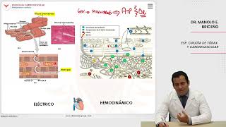 VILLAMEDIC  Fisiología Cardiovascular Metabolismo cardiaco [upl. by Elam]