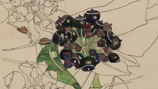 The Designs of Charles Rennie Mackintosh [upl. by Wooster]