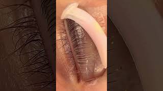 Impressive lash lift technique  Lash Flash [upl. by Atilegna]