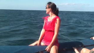 Whale Watching in Maui Hawaii [upl. by Eadmund]