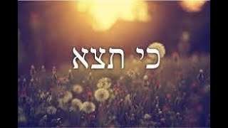 Shabbat Service  Torah Parashat Ki Teitzei September 14 2024  1000 AM [upl. by Anelle]