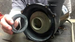 Waterway Executive 315 1220 Spa Pump Repair Part 0028 [upl. by Jere440]