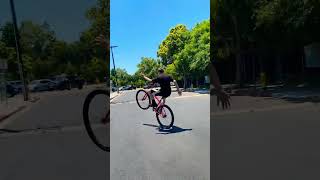 THE GOAT goon wheelie throne fixedgear bike barspin helicopter [upl. by Bussy]