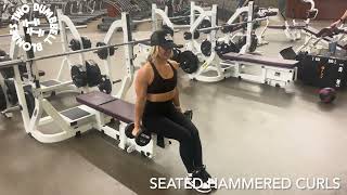 Seated Hammer Curls [upl. by Hephzipa346]