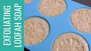 How to Make Exfoliating Loofah Soap [upl. by Wesley665]