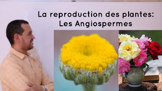 La reproduction des plantes à fleurs  les Angiospermes  SVT BIOF  Séance N° 02 [upl. by Etnoj]