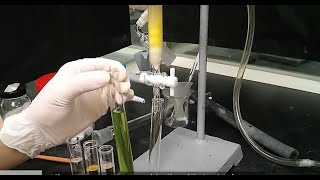 【4K】 Column Chromatography Purification🌟 [upl. by Antipus]