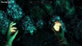 Where to find many Chaurus Eggs  Skyrim [upl. by Gnagflow398]