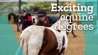 Exciting equine degrees at Hartpury University [upl. by Rind]