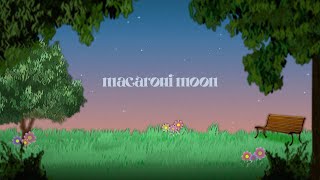 The Rare Occasions  Macaroni Moon Lyric Video [upl. by Aseena]