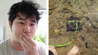 Petkeeping in Korea is DIFFERENT  Fish Tank Review 266 [upl. by Sokcin640]