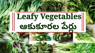 Names of Leafy vegetables in Telugu and English  ఆకుకూరల పేర్లుlightningminds1greenleaves [upl. by Gussi547]