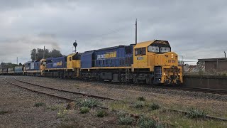 7734V PN loaded grain XR559 X50 8184 Dimboola to Geelong 1000 21924 Stawell VIC [upl. by Rihat]