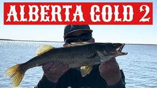 Late Morning Walleye Fishing on Crawling Valley Reservoir Alberta [upl. by Gausman]