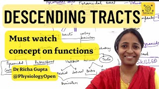 Descending pathways physiology  Pyramidal and extrapyramidal tracts  CNS Physiology mbbs 1st year [upl. by Lanette]