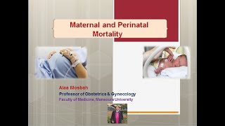 Maternal and Perinatal Mortality [upl. by Olenolin]