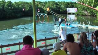 In dolphinarium quotDelfinarioquot in Varadero Cuba you can swim with dolphins [upl. by Ail]