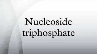 Nucleoside triphosphate [upl. by Rashida]