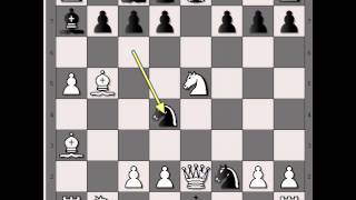 Žrtva Kraljice dvostruki sah i mat  Evans gambit  HELMS vs TENNER  364 [upl. by Ardnua]