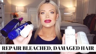 HOW TO REPAIR BLEACHED DAMAGED HAIR amp KEEP THE BRASSINESS OUT  Isabel Galvin [upl. by Woll]