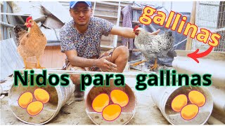 ¿Cómo hacer un nido para que las gallinas pongan huevos [upl. by Ahsikcin562]