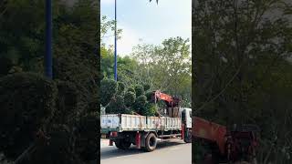 Nha trang chờ em tới nhé tunglahan vuonnhattunglam [upl. by Ojibbob]