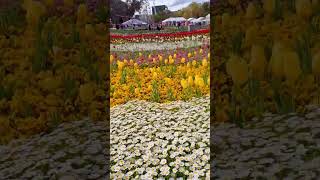 Canberra floriade [upl. by Torrlow968]