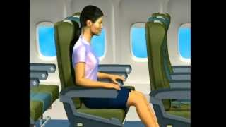 VietnamAirlines Inflight Safety Demonstration  Boeing 777 [upl. by Jorie]