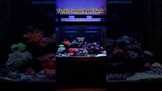 Reef tank lightup by Ai Hydra64hd [upl. by Kenwood]