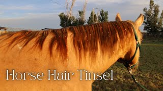 How to tie hair tinsel on a horse [upl. by Anirahtak]