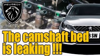 Camshaft Bed Leak on Peugeot 308 T9 16 HDI 120 hp [upl. by Irtak]