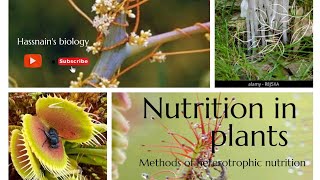 Methods of heterotrophic nutrition in plants biologistasifsaleem0910 [upl. by Ocirnor218]