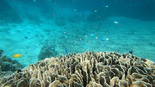 Die Inselgruppe Okinawa  ein Paradies für Wassersportler [upl. by Macmillan44]