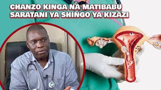 ZIJUE DALILI NA KINGA YA SARATANI YA SHINGO YA KIZAZI PIA MATIBABU YAKE  DR FARAJAH [upl. by Nappie]