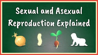 Sexual and Asexual Reproduction Explained [upl. by Andris]